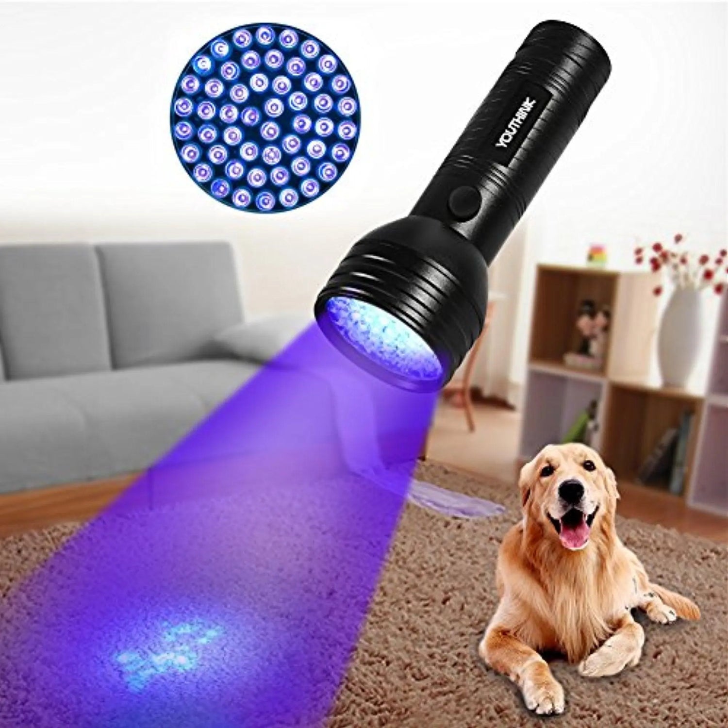 Best-UV-Light-for-Urine-Detection Orgone Energy Australia