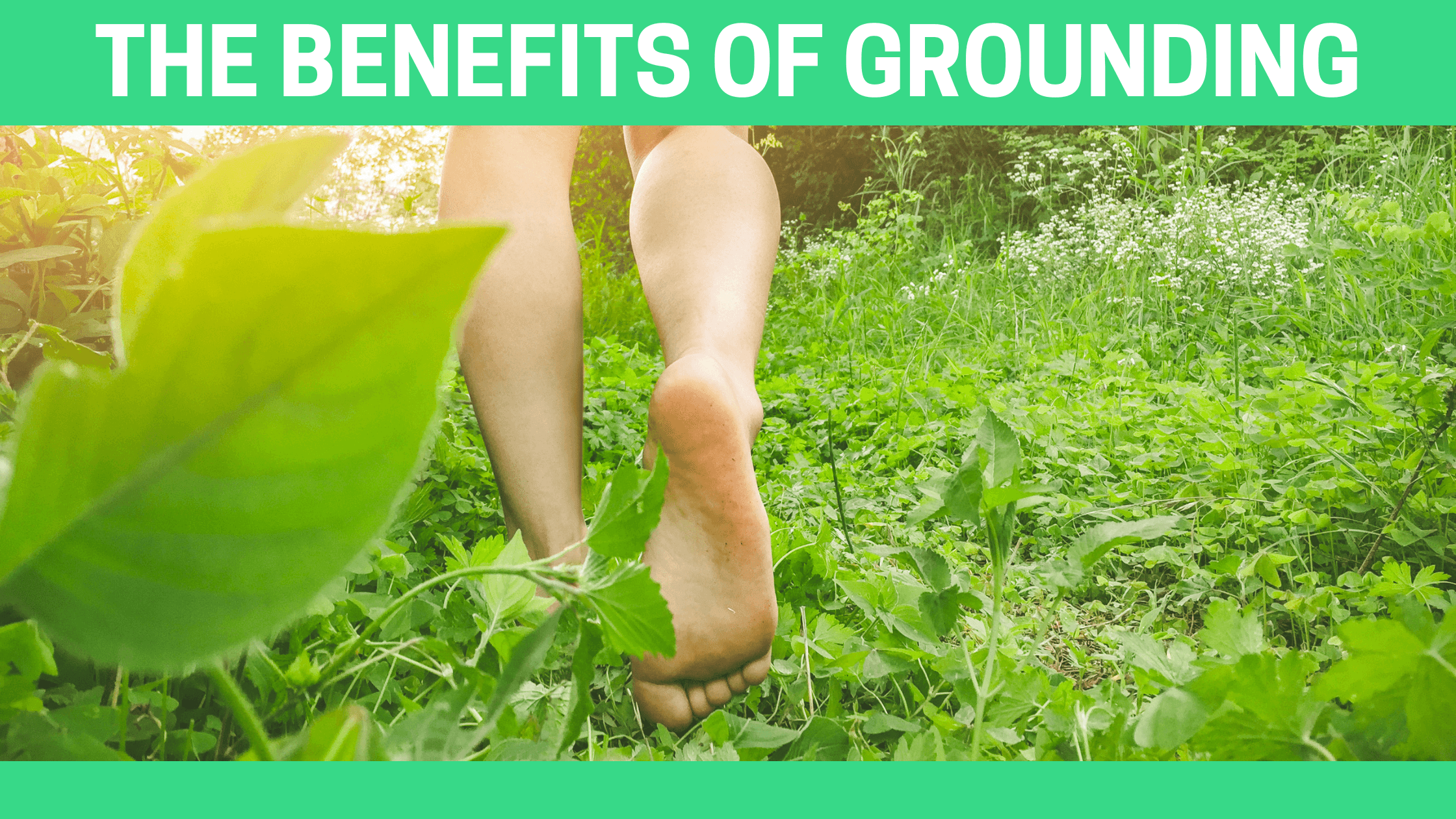 Feeling Electric? Explore Grounding and Its Potential to Boost Your Well-being - Orgone Energy Australia