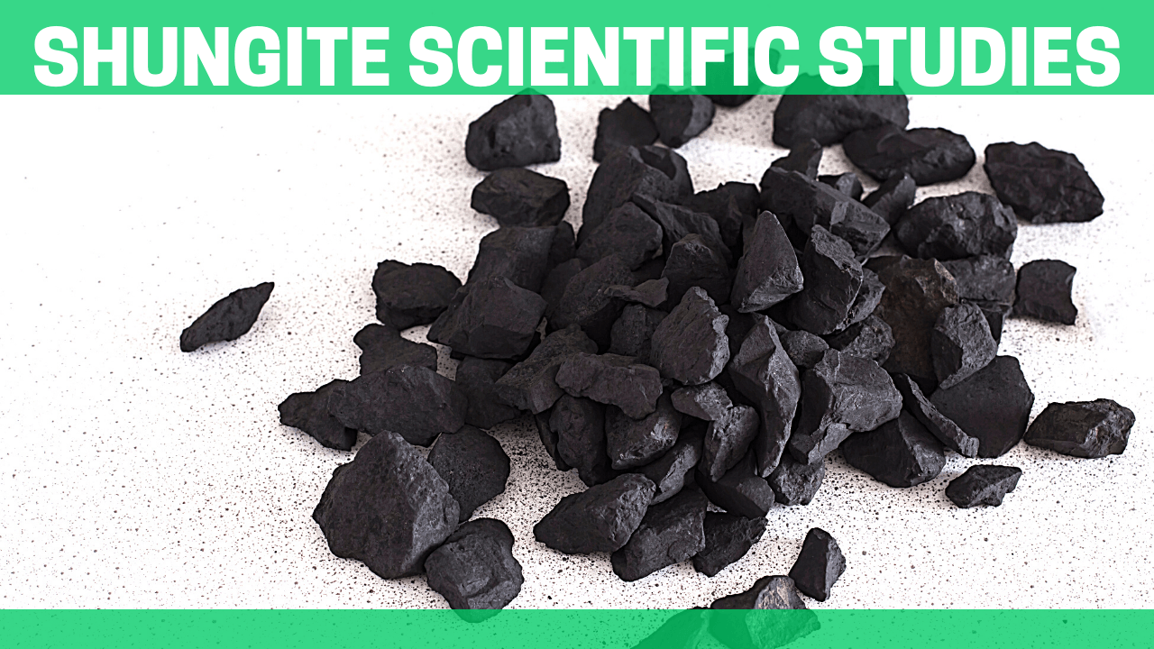 shungite scientific studies 