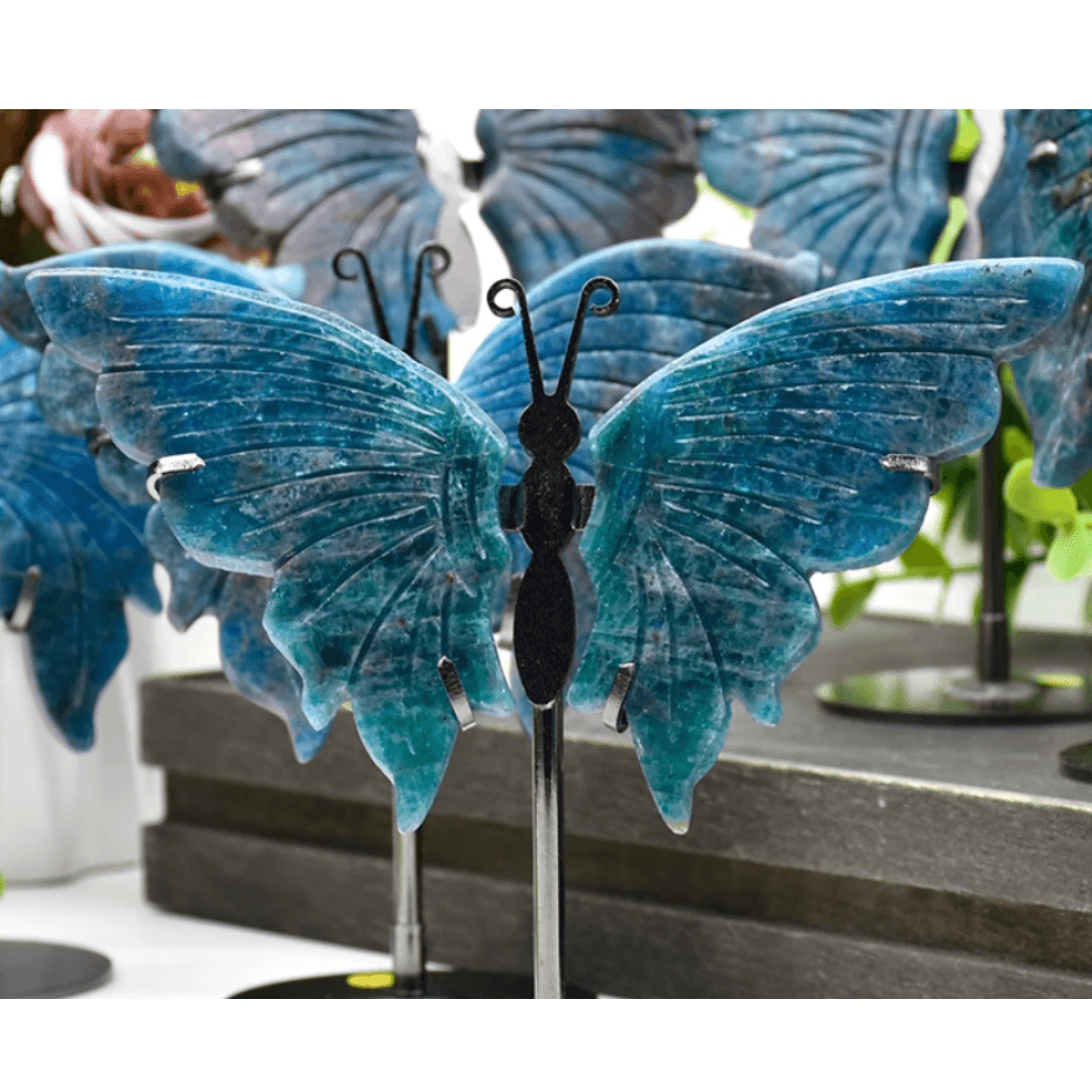 Blue Apatite Crystal Butterfly - Orgone Energy Australia